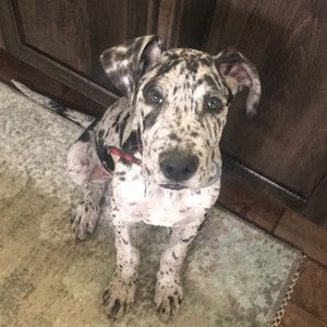 Meet your Posher, Carley